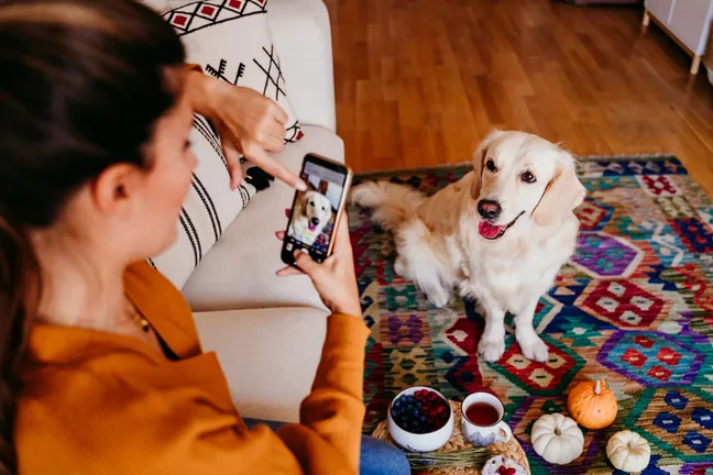 Blogger taking pictures of a golden retriever