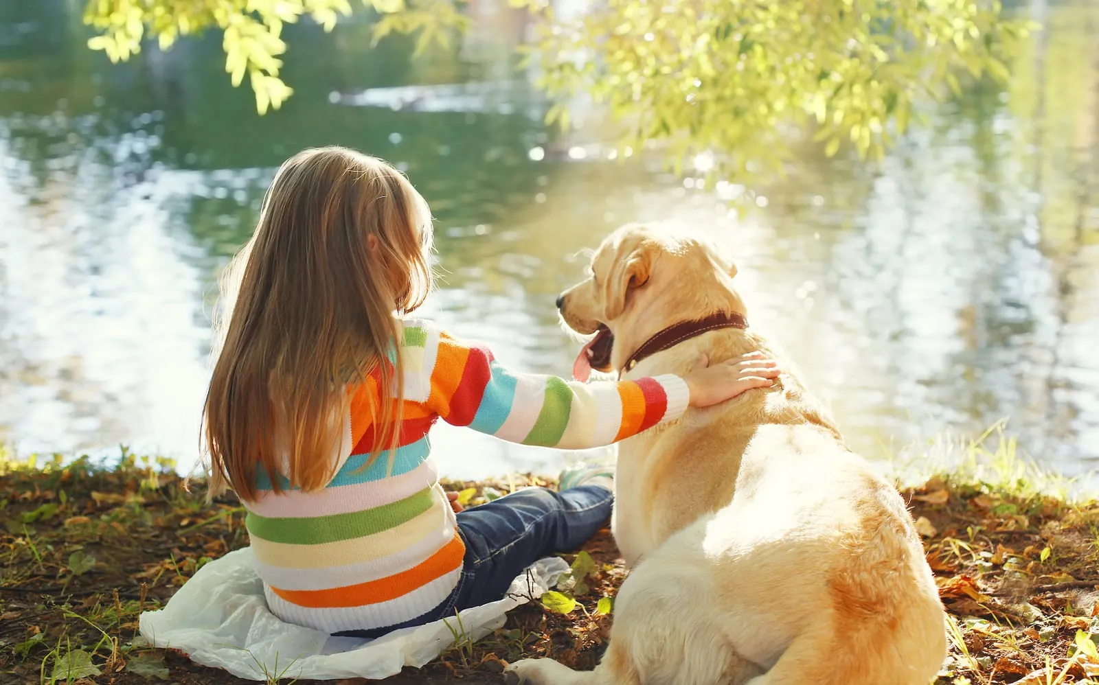 Labrador retriever lying down next to a girl by a river
