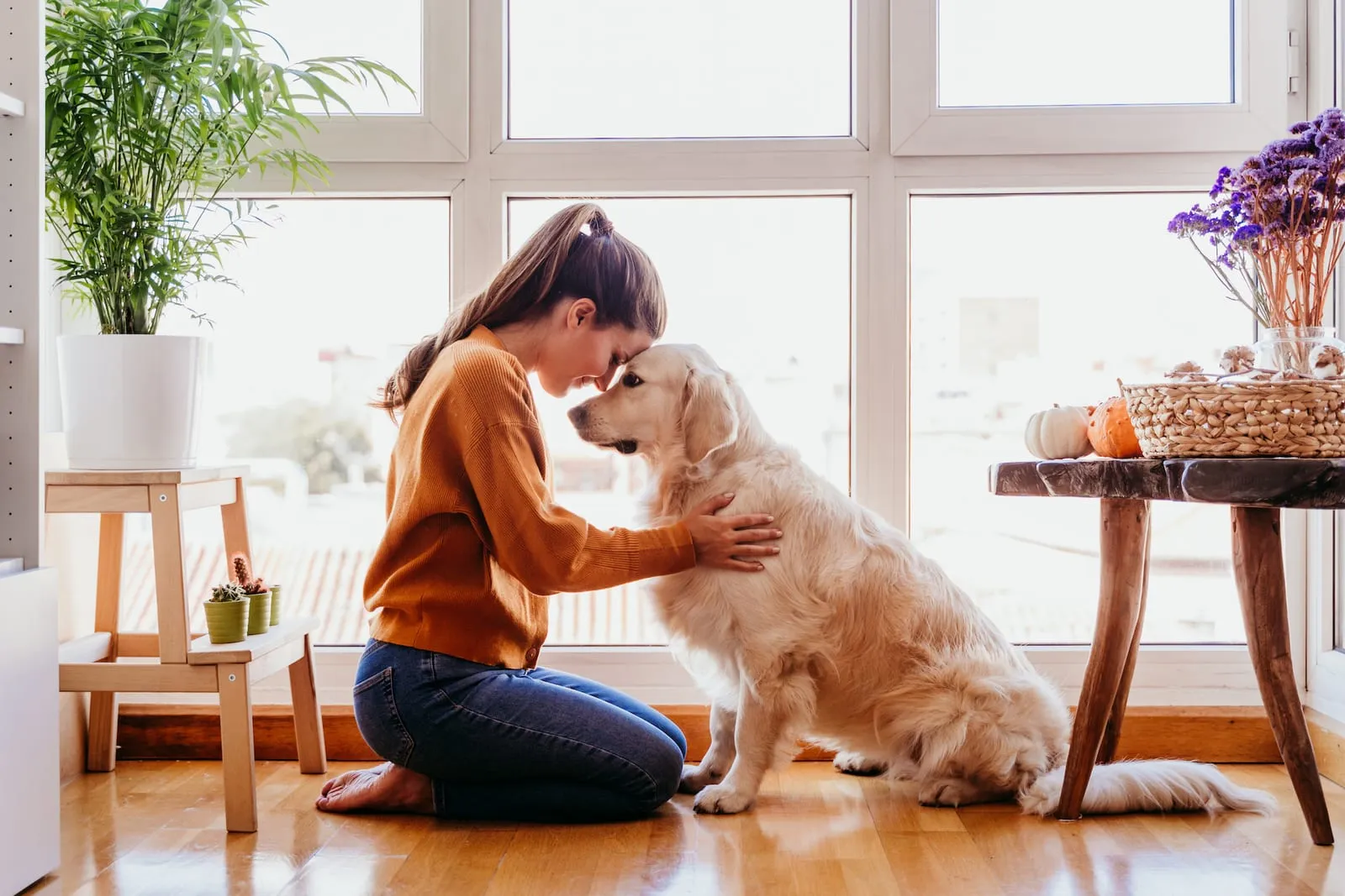 Woman touching her head to a golden retrievers head