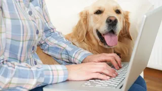 Golden retriever sitting next to man on laptop